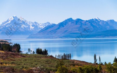 新西兰特卡波湖图片