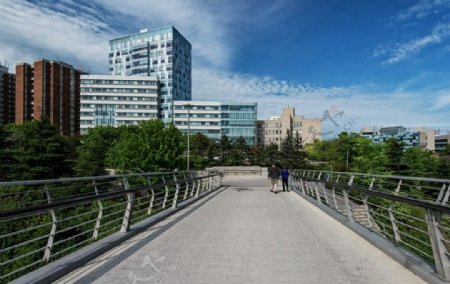加拿大渥太华大学图片