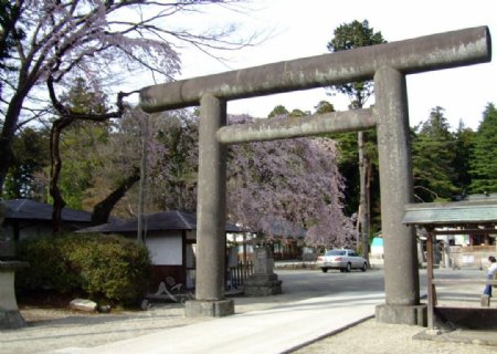 东京神社图片