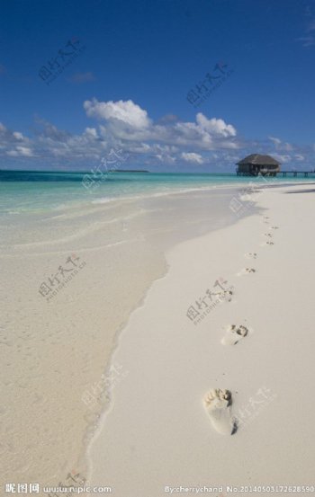 马尔代夫沙滩度假图片