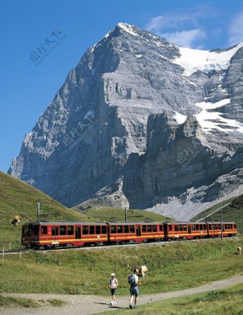 瑞士阿尔俾斯山夏景图片