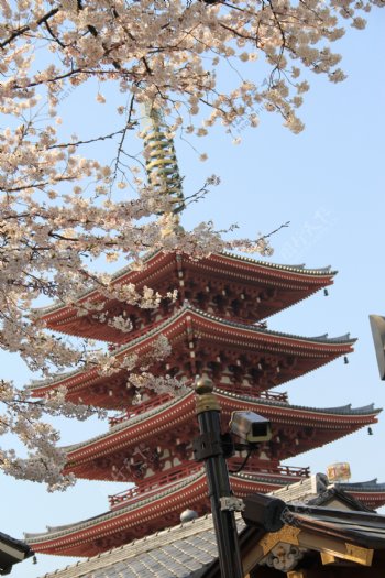 日本风景图片