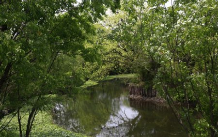 西溪国家湿地森林公园图片
