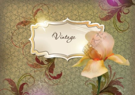 古典花纹花朵边框图片
