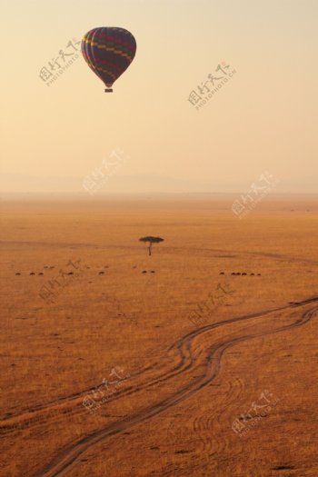 草原热气球图片