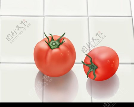 手绘西红柿图片