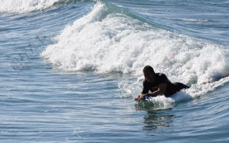 威基基冲浪滑浪图片