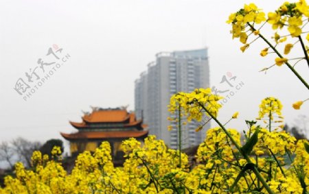 义乌城市风景图片