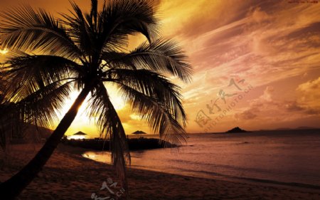 马尔代夫海边度假村日落图片