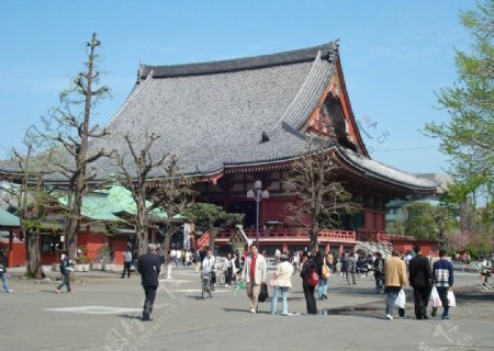 东京浅草观音寺图片