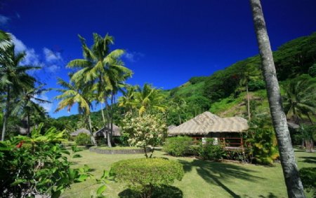 热带度假村美景图片