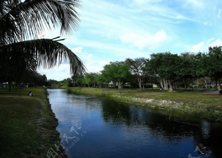 迈阿密市内生态型景色图片