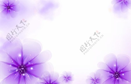 梦幻紫花图片