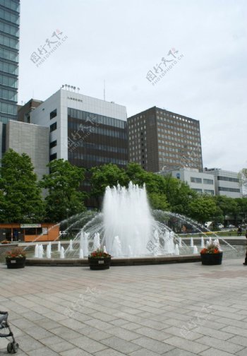 札幌大通公园图片