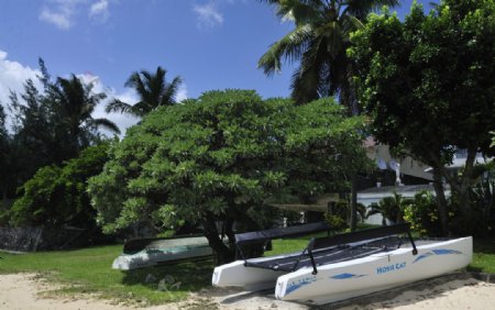毛里求斯路易港旅游度假村景色图片