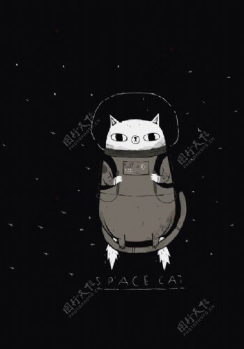 宇宙猫咪图片