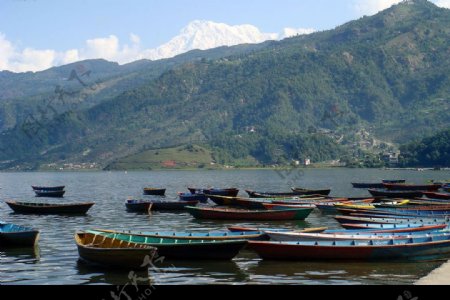 尼泊尔费瓦湖畔图片