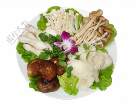 川菜菇类杂锦图片