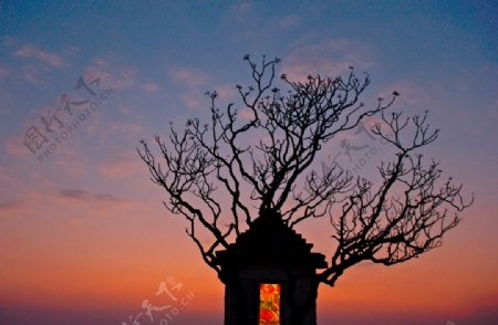 印度哈努曼庙图片