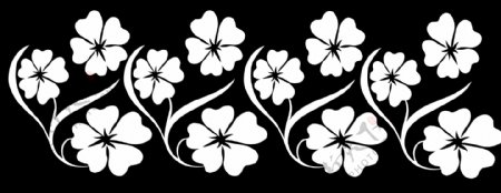 黑白花朵图片