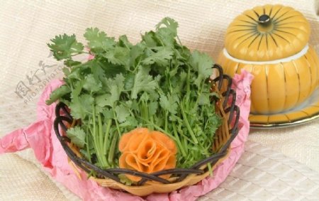 火锅菜青菜图片