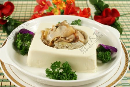 蚌肉豆腐图片