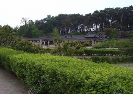 韓式住宅图片