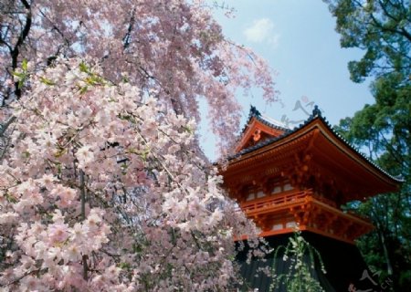 日本京都风景图图片