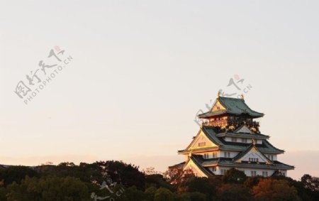 大阪城图片