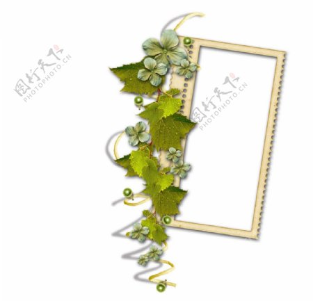 植物相框图片