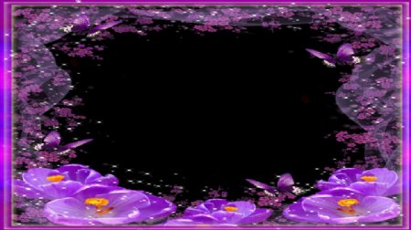 紫色画框图片