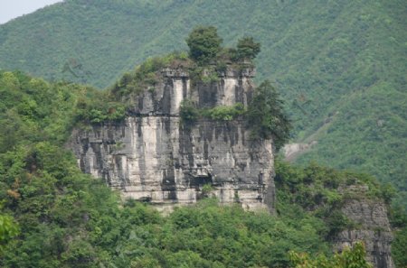 云雾灵山双狮护象图片