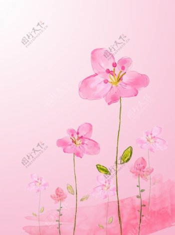 花背景粉红背景图片
