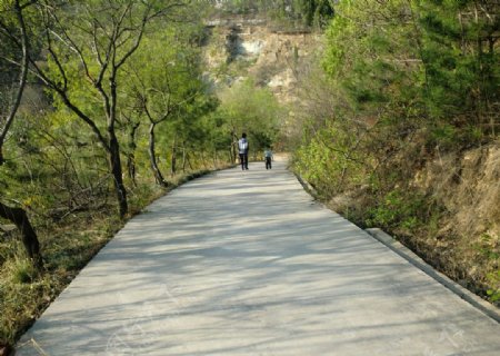 山路图片