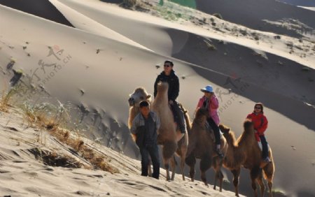 巴丹吉林沙漠沙丘骑图片