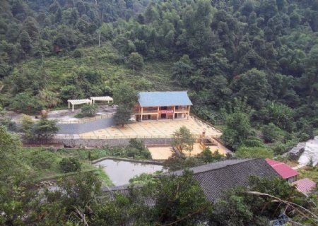 江西阳岭国家森林公园图片