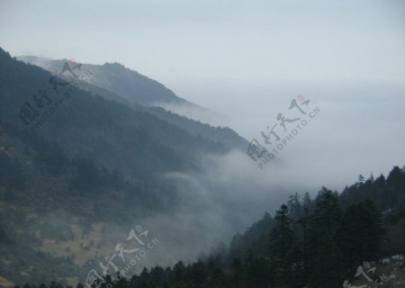 山雾蒙蒙图片
