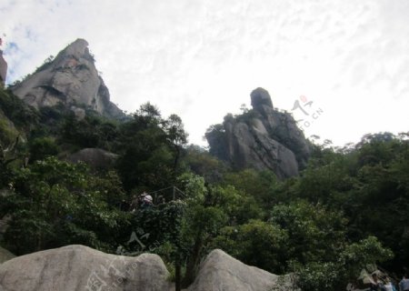 山之情图片