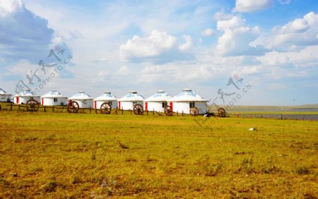 大草原蒙古包图片
