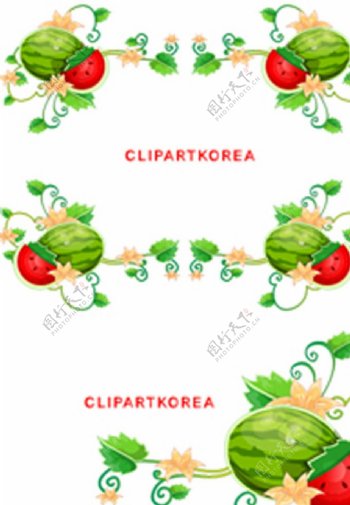 韩国西瓜花边图片