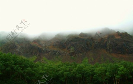火山口下的绿树图片