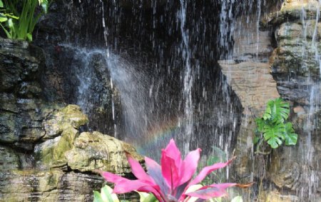 瀑布中的彩虹图片