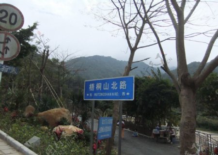 深圳梧桐山风景图片