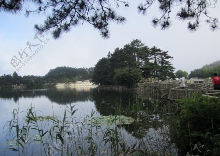 庐山路琴湖图片