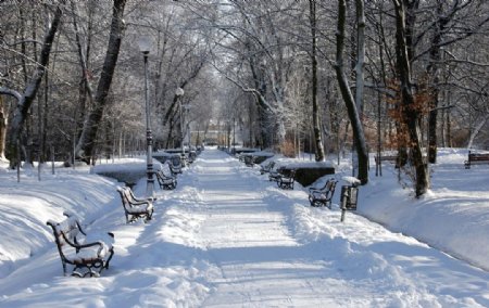 冬天的公园图片