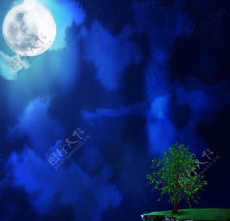 月上树梢图片