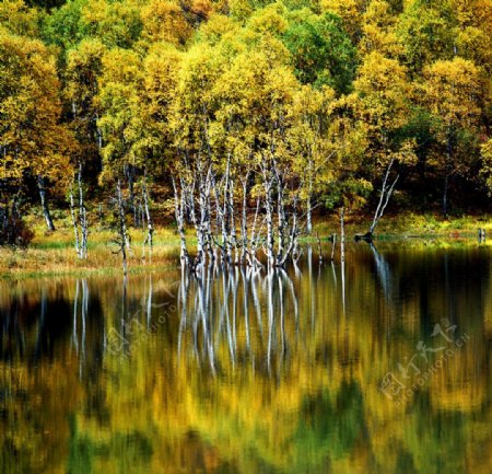 硕都湖之秋图片