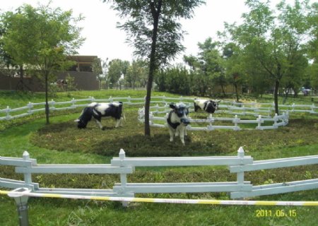 绿地上的奶牛图片