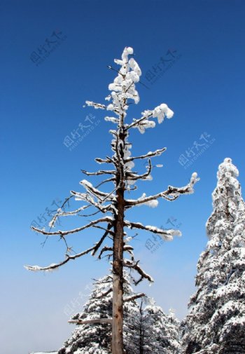 峨眉山雪景雪景图片