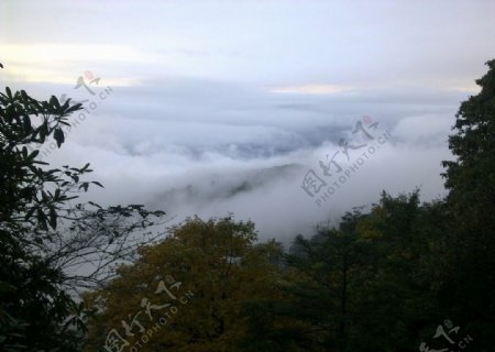 峨眉山自然生态区枫叶云海图片